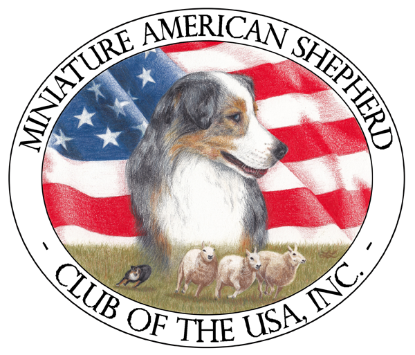 Miniature American Shepherd Club of the USA