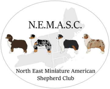 Northeast Miniature American Shepherd Club
