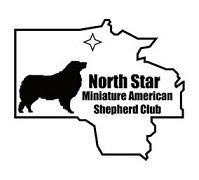 North Star Miniature American Shepherd Club