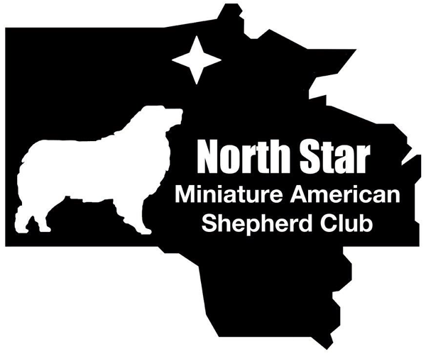 North Star Miniature American Shepherd Club