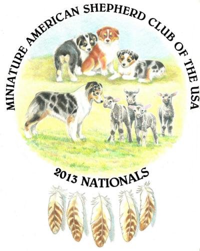2013 Nationals Logo